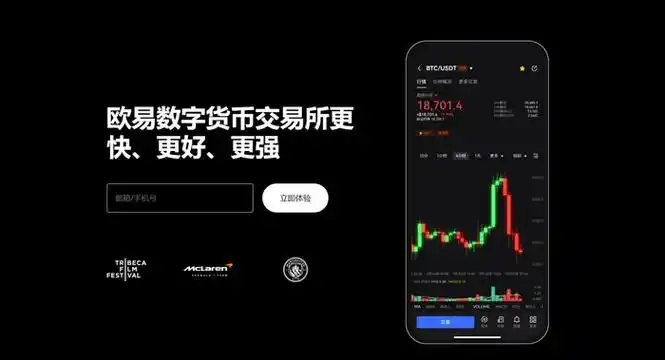 OK钱包官方最新版系统展示图